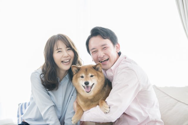 マンションで犬を飼うためのコツ！注意点とおすすめ犬種