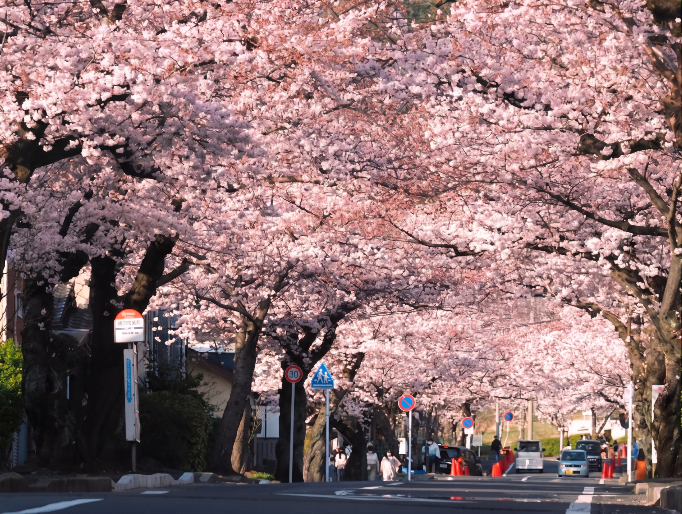 湯川・葛原周辺の街並み