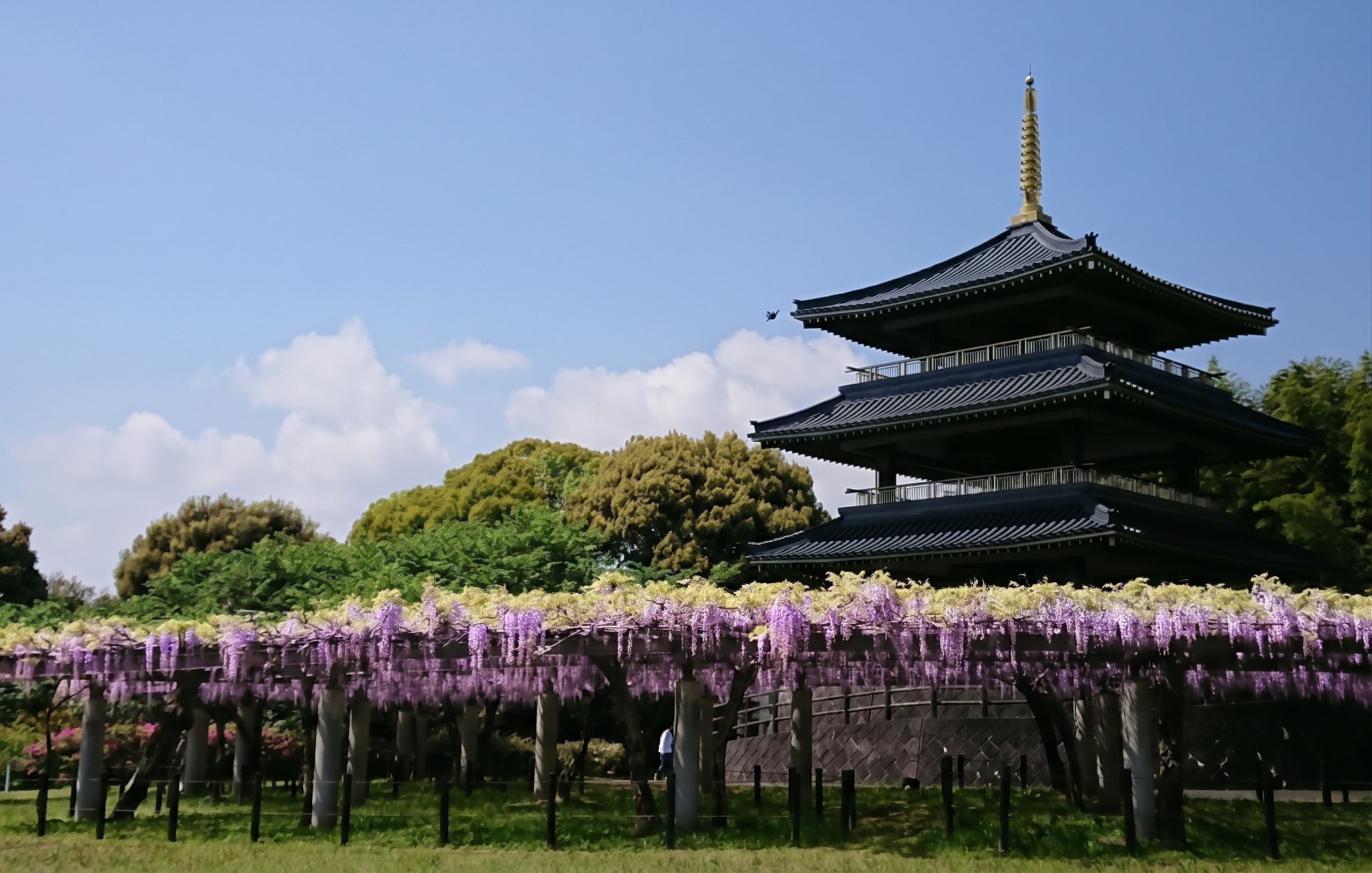 香月・千代周辺の街並み