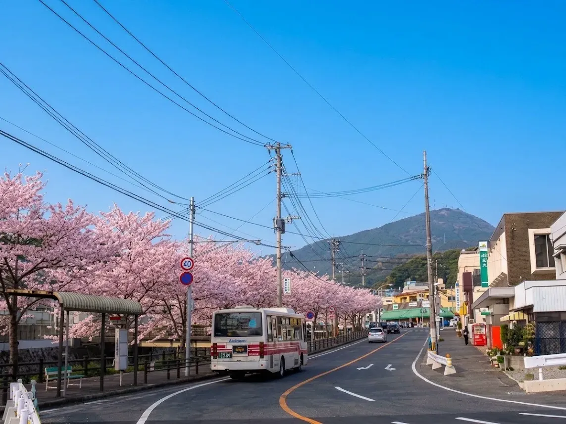 末広町・大蔵周辺の街並み